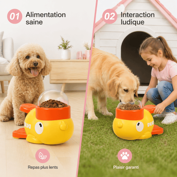Chien apprenant à utiliser le jouet puzzle canard distributeur