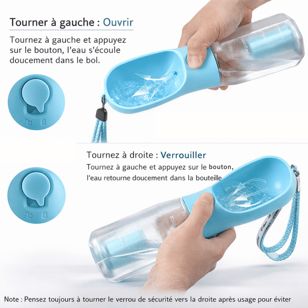 Gourde 3-en-1 pour chien