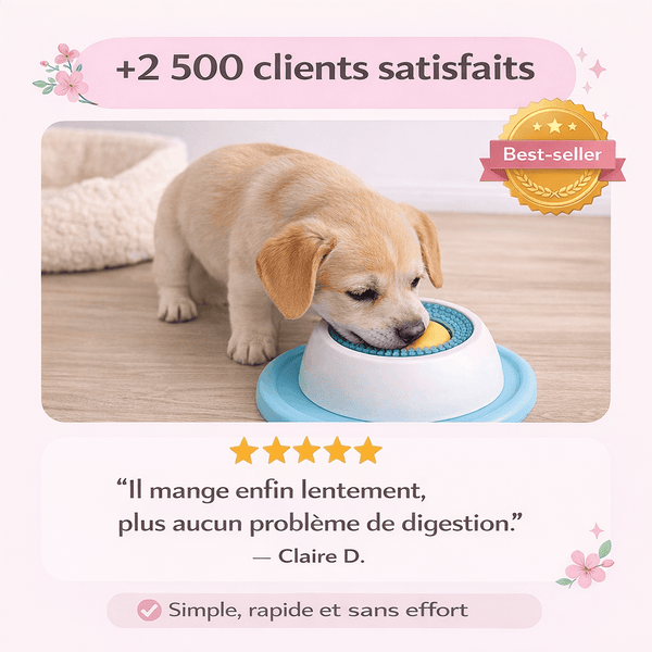 Bol à lécher pour animaux