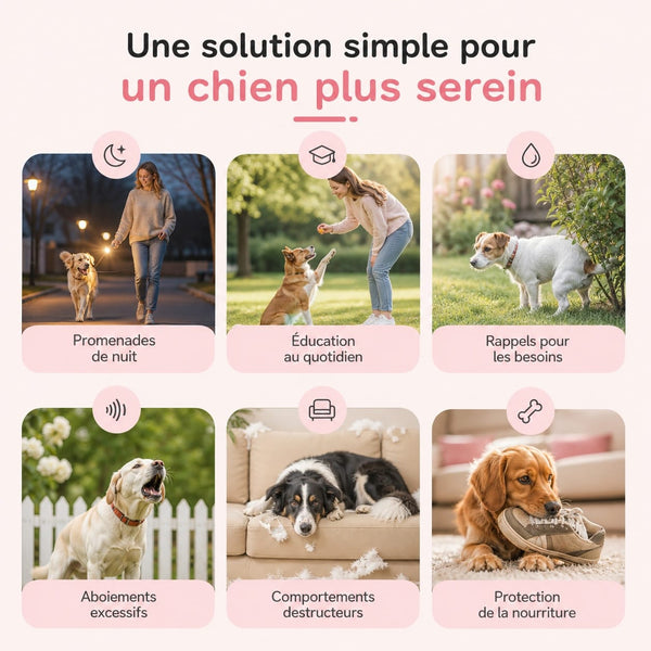 Dispositif anti-aboiements utilisé en balade