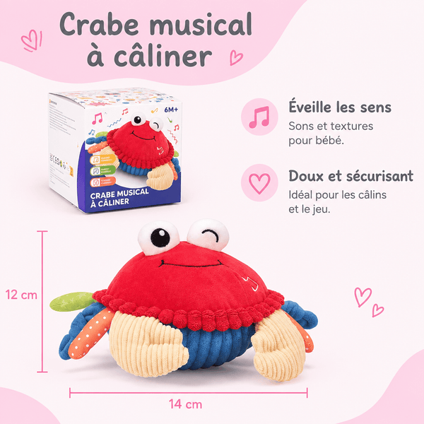 Dimensions du crabe musical : 14 cm x 12 cm