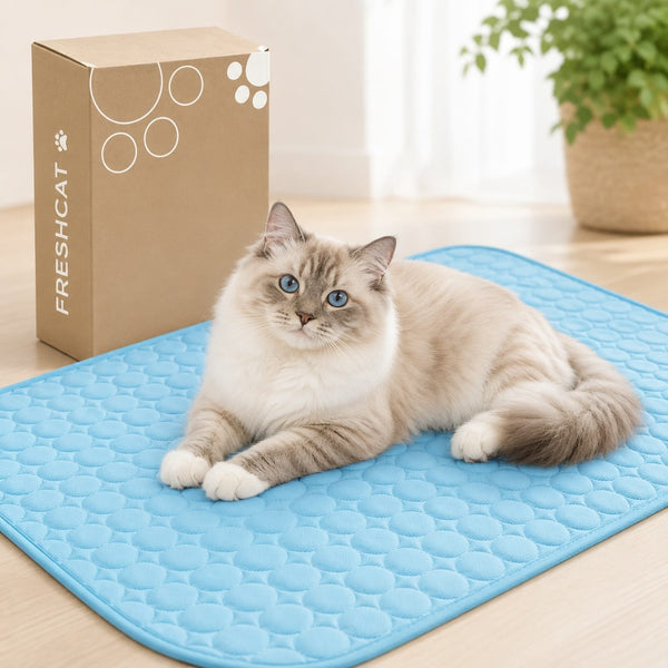 Chat allongé sur tapis rafraîchissant
