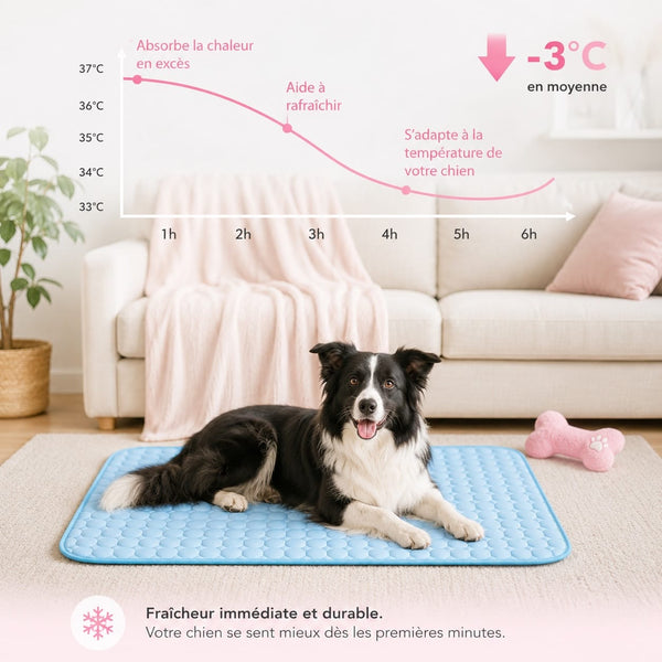 Tapis rafraîchissant pour chien Fresh Dog