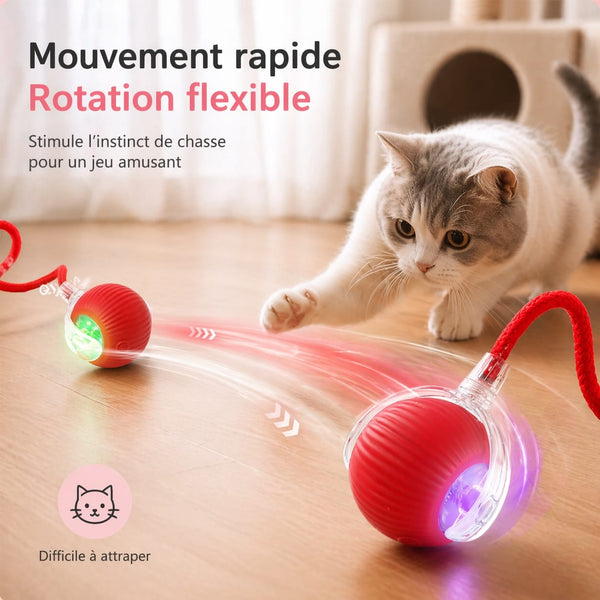 Balle interactive électrique pour chat en action