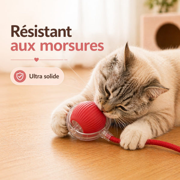 Chat qui joue avec la balle interactive