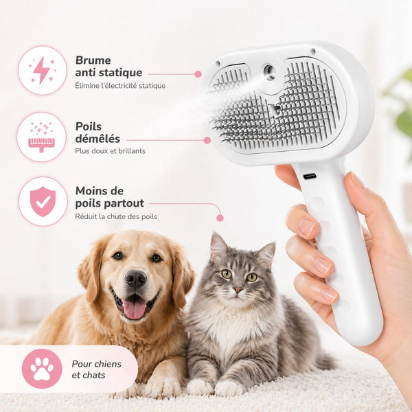 Brosse vapeur pour chat et chien