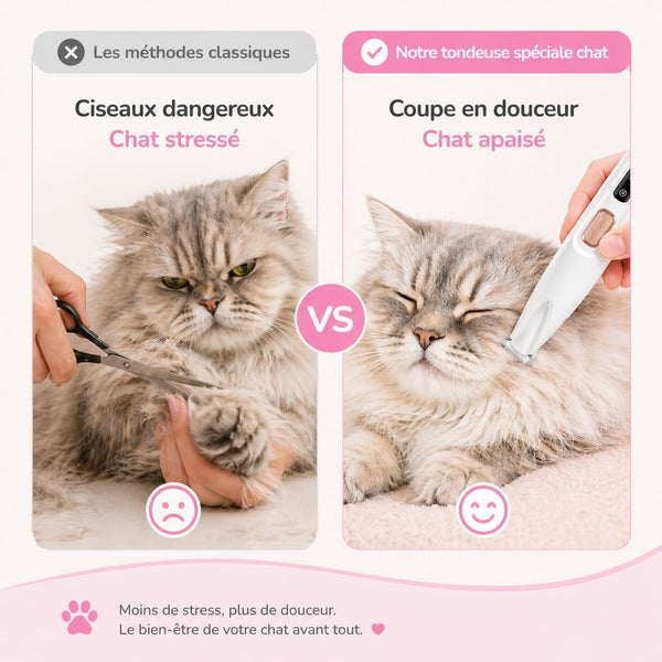 Chat calme pendant la tonte à la maison