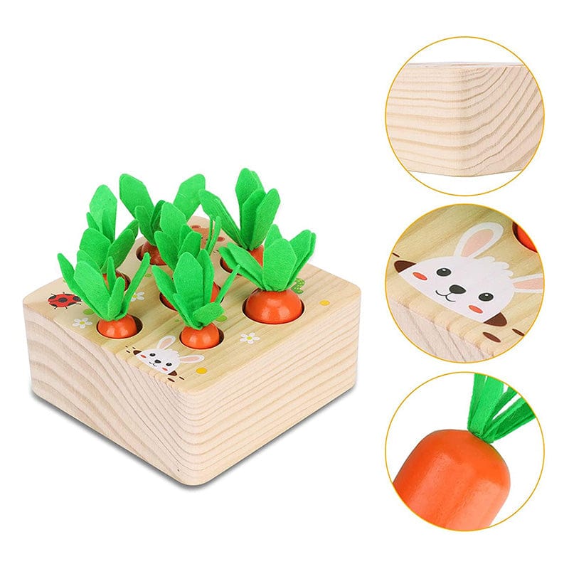 Aischens Giochi in Legno Montessori 2 3 4 Anni, Gioco di Smistamento in Legno Montessori Raccolta di Carote Verdure Animali, Giocattoli Educativi Multifunzionali, Giochi per Attività Motoria Fine Aischens Giochi in Legno Montessori 2 3 4 Anni, Gioco di Smistamento in Legno Montessori Raccolta di Carote Verdure Animali, Giocattoli Educativi Multifunzionali, Giochi per Attività Motoria Fine